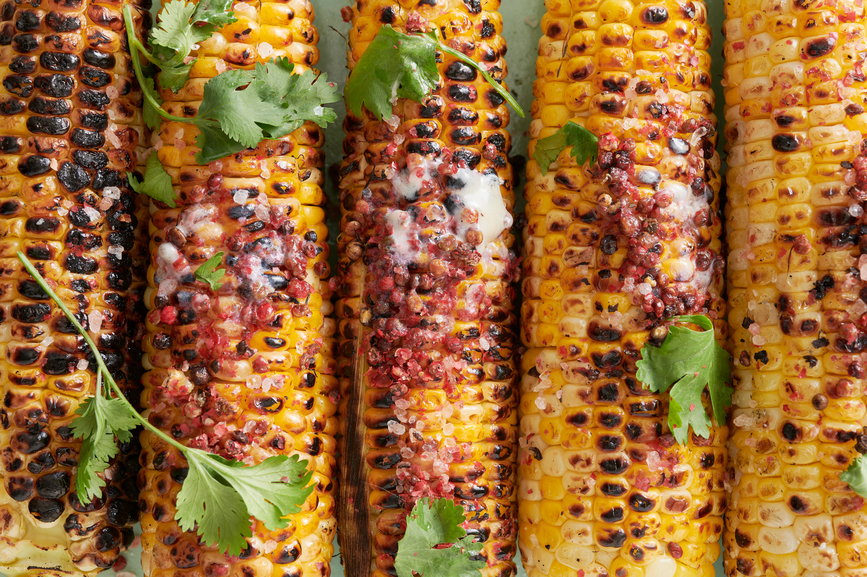 Several ears of corn coated with tajin and sprigs of cilantro.