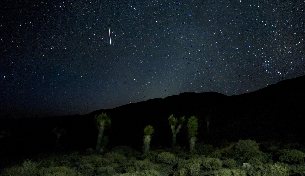 A perseid meteor over Joshua Trees near Death Valley, California