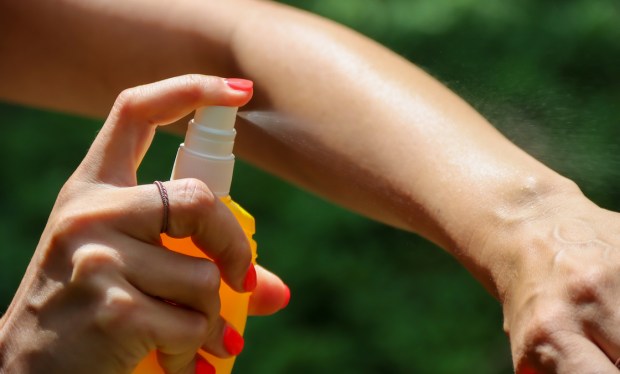 The Ingredient in Bug Spray That Pregnant People Should Avoid, Plus 7 Expert-Approved Brands That...