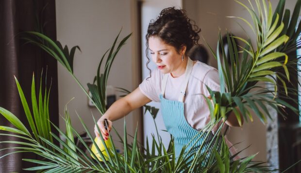 Your Plants Deserve a Wellness Routine, Too—Here's the One No Gardener Should Go Without