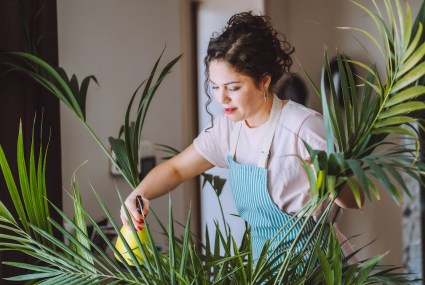 Your Plants Deserve a Wellness Routine, Too—Here’s the One No Gardener Should Go Without