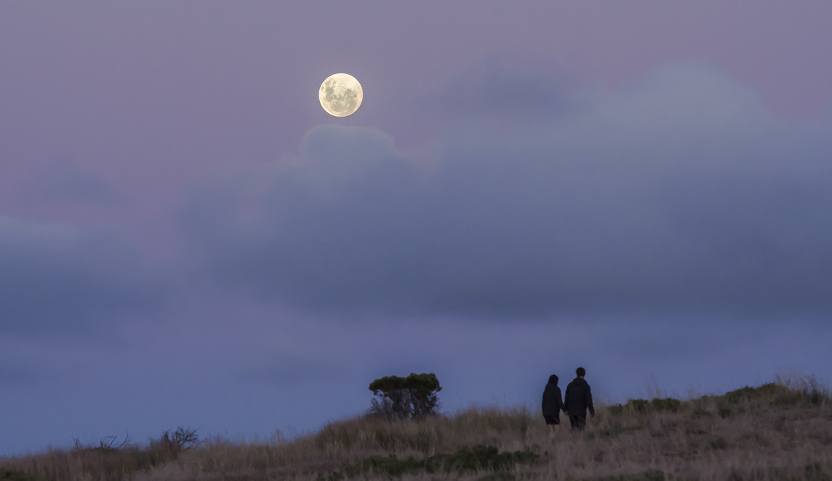 Full moon rises over a couple walking through a windswept field at dusk