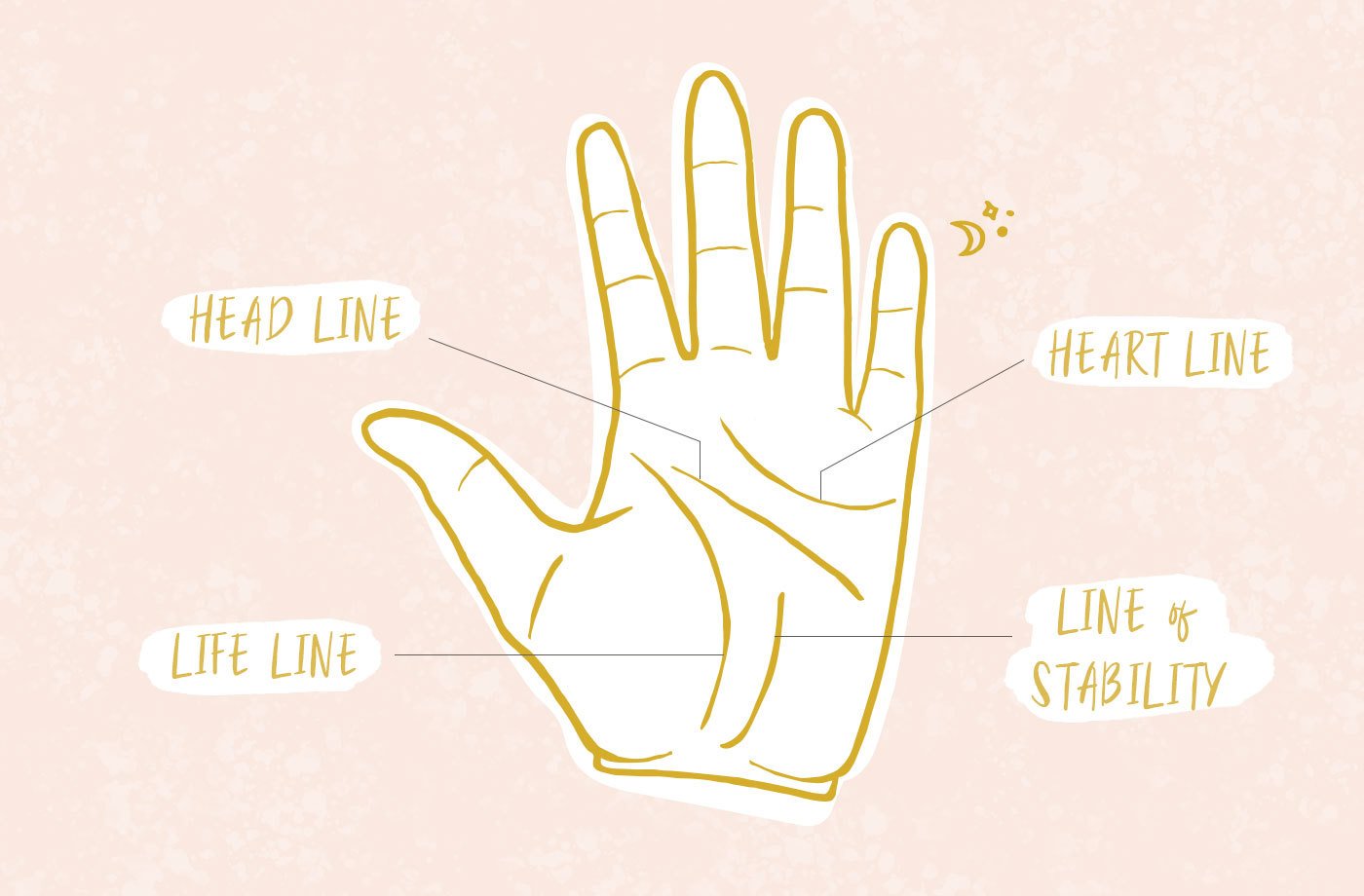 How to read palms and understand what palm lines mean
