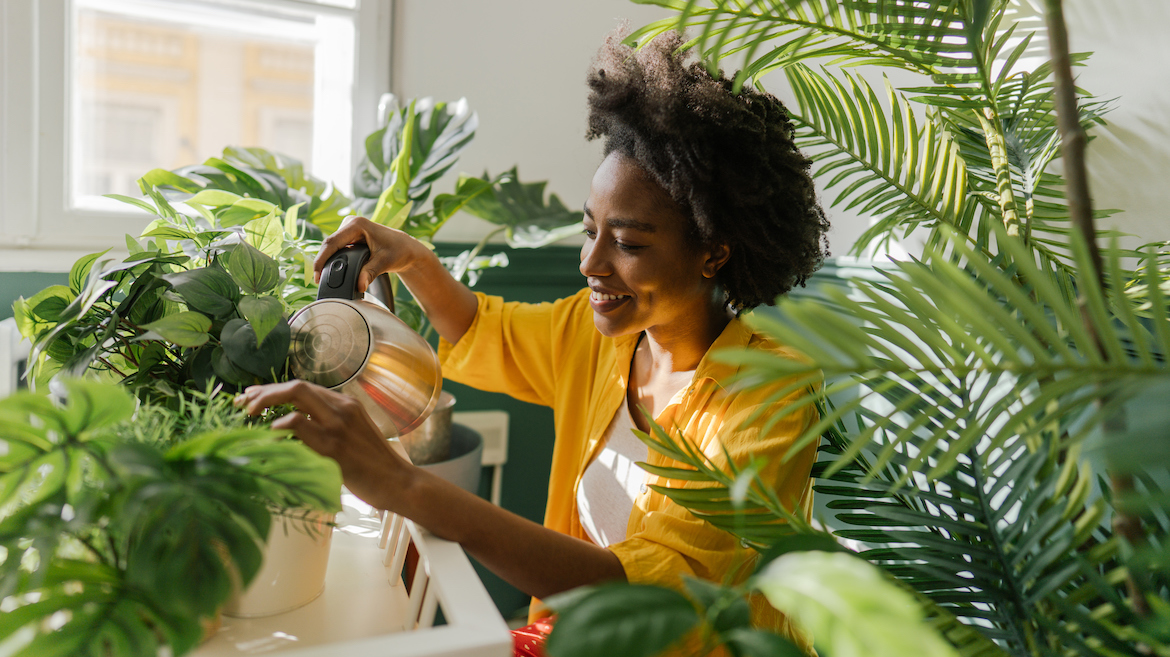 A woman waters her indoor plants, treating them for houseplant bugs.