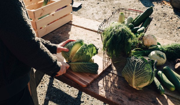 This Farm-to-Table Delivery Service Ships Fresh, Hand-Picked Produce Straight to Your Door—Here’s How We Liked...