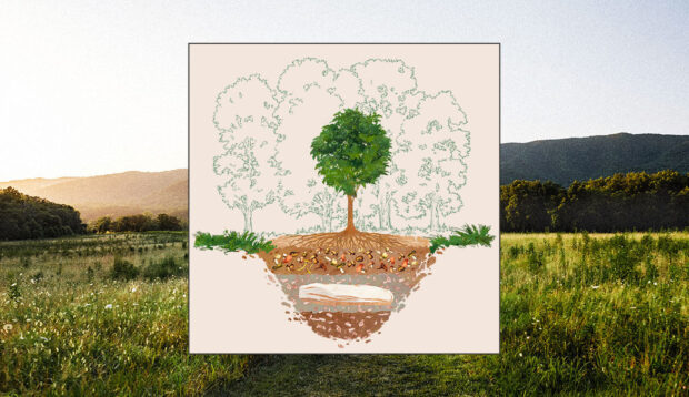 Meet the New Eco Burial Company That Will Turn You Into a Tree When You...