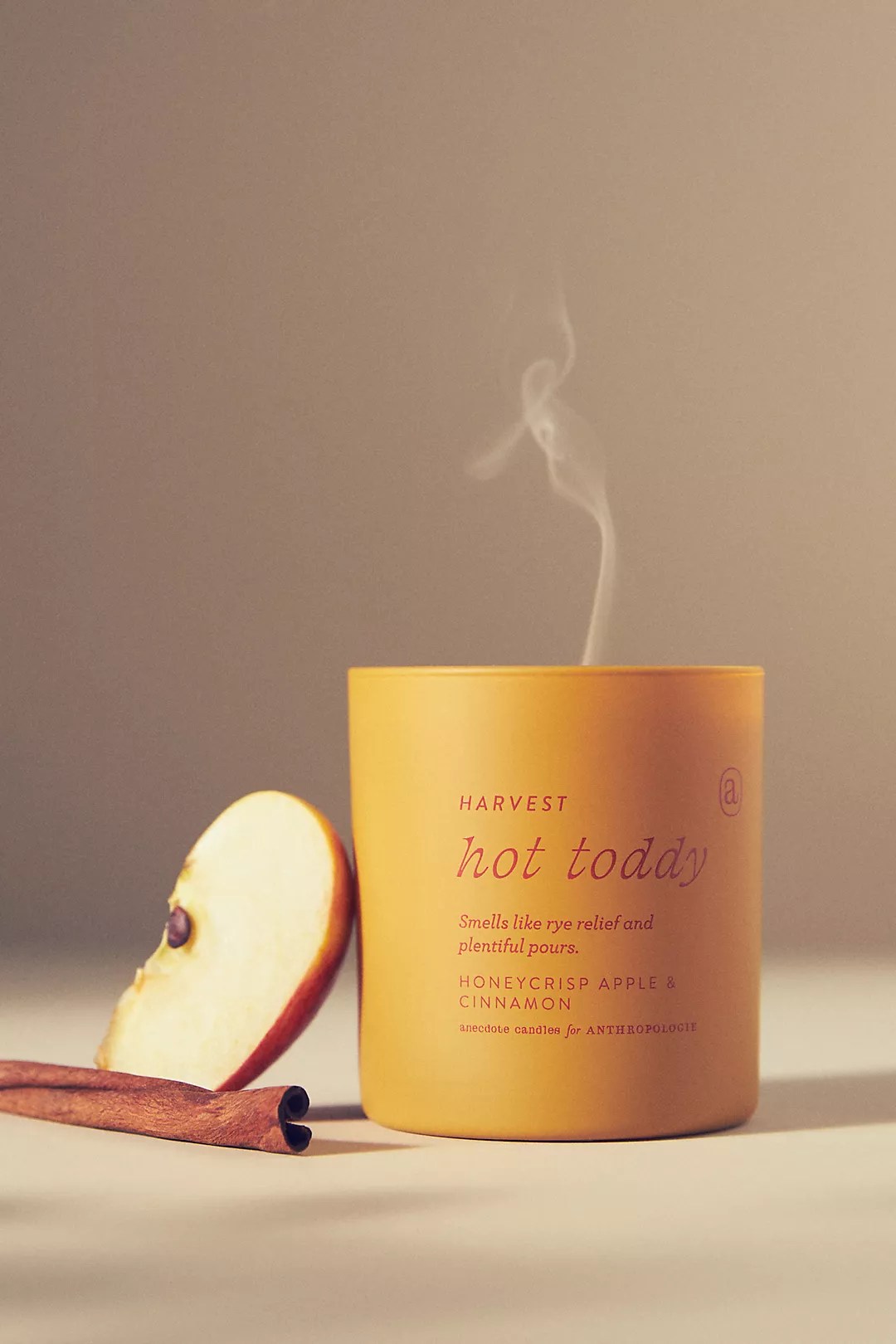 anecdote hot toddy candle with an apple slice and cinnamon stick next to it