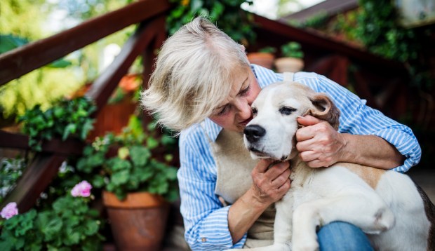 How To Care for an Elderly Pet With Love and Compassion, According to an Animal...