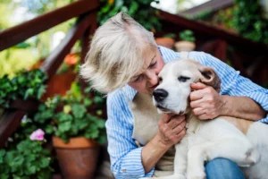 How To Care for an Elderly Pet With Love and Compassion, According to an Animal Behaviorist
