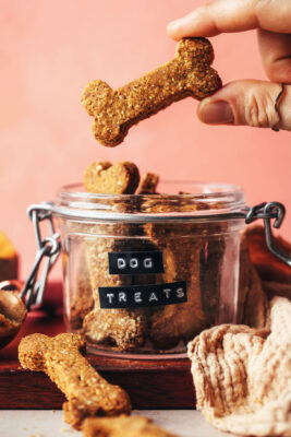 biscuits pourris friandises pour chiens