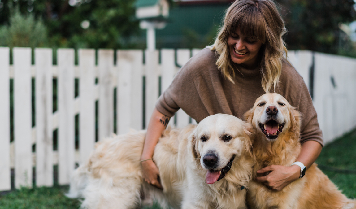 A blonde woman hugs two Golden Retriever dogs. She is outside and behind her is a white picket fence.