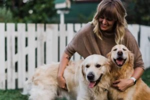 Here's How To Choose a Safe and Affordable Dog Daycare, According to Trainers and Veterinarians