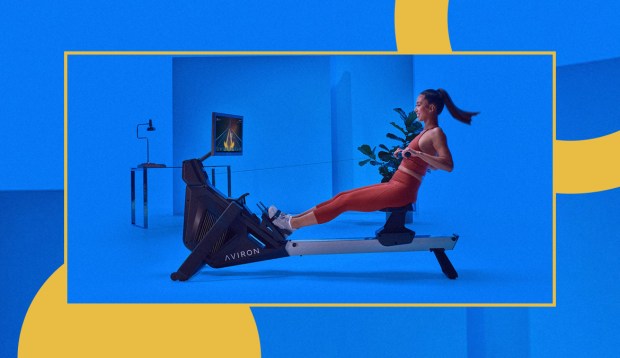 Found: The Most Fun, Accessible Rowing Machine That'll Make You Forget You're Even Working Out—And...