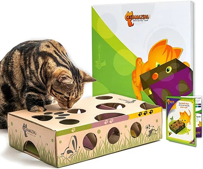 A cat hide-and-seek enrichment toy from Cat Amazing