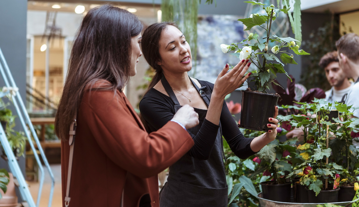 A plant owner shows a flowering plant to another woman.