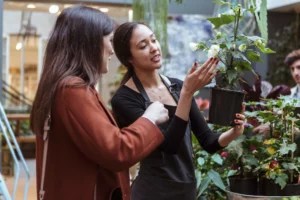 How To Organize a Plant Swap Party for Your Friends and Community