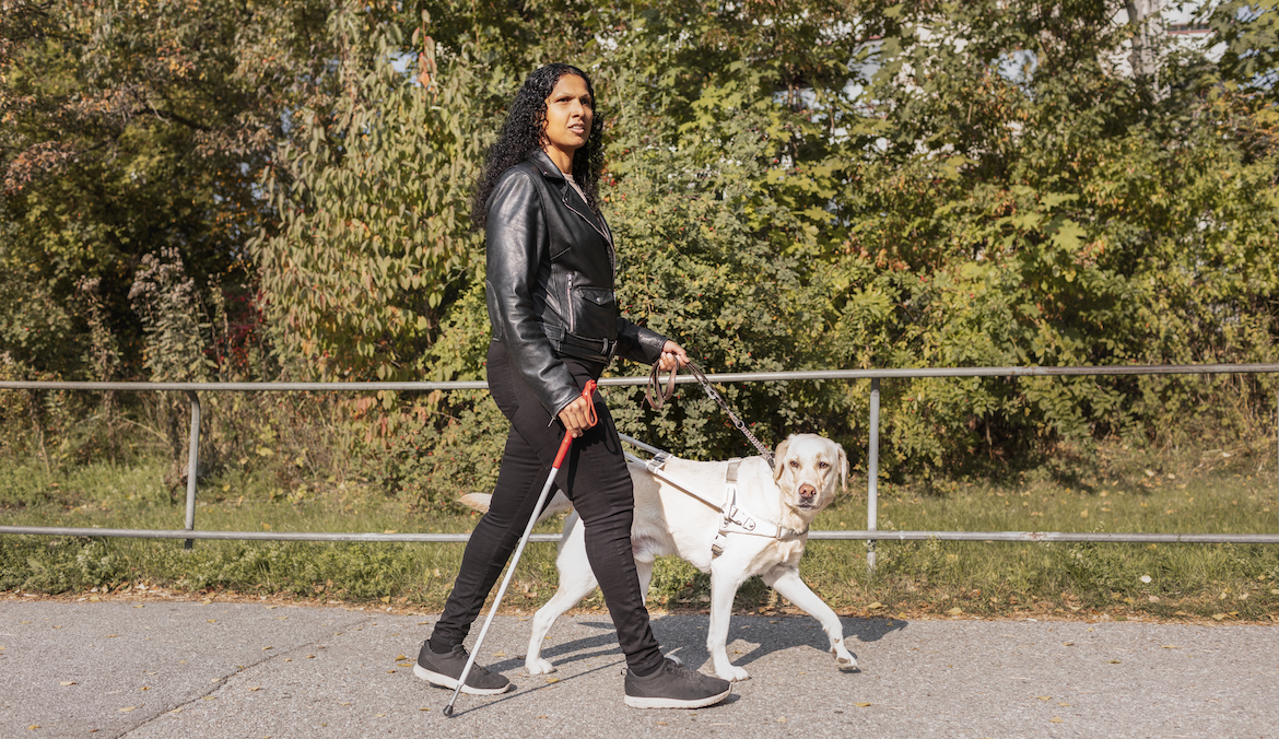 Visually impaired woman walking with guide dog