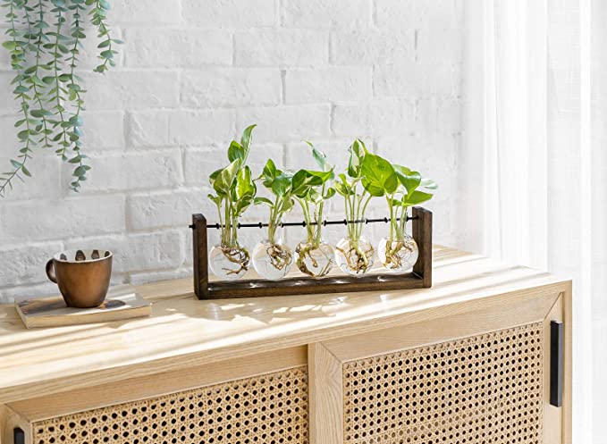 Mkono Plant Terrarium With Wooden Stand