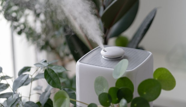 These 10 Portable Humidifiers From Amazon Can Breathe Moisture Back Into Any Dry Space