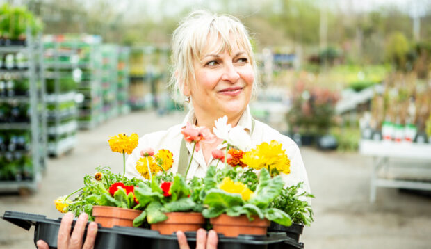 The 2 Biggest Reasons To Buy Plants From Local Nurseries Instead of Big-Box Stores