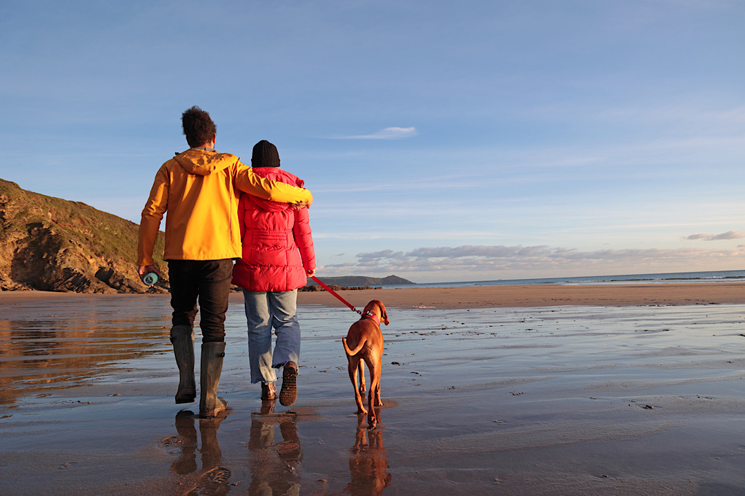 couple walking dog on beach