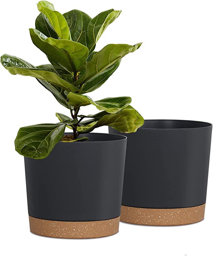 Kubvici Plant Pots (Set Of 2)