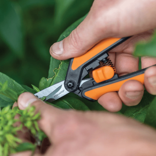 The Sill Micro-Tip Pruning Snips