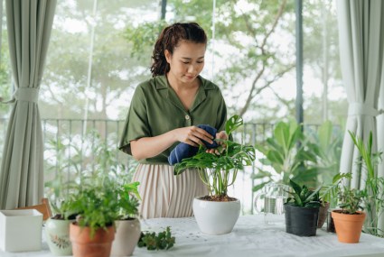 Giving Your Houseplants a ‘Spring Clean’ Will Boost Their Growth—Here’s How To Do It