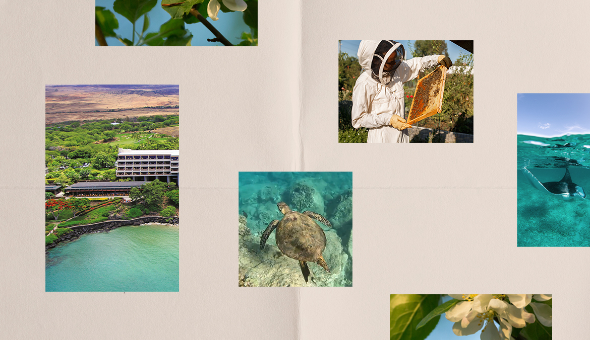 collage of mauna kea resort
