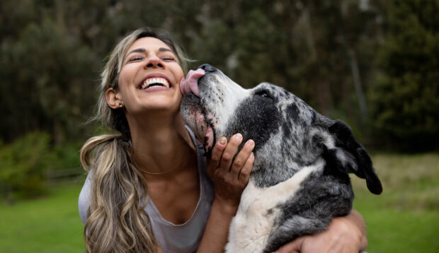 Here’s the Real Risk When Your Dog Licks Your Face—And Why This Veterinarian Lets Her...