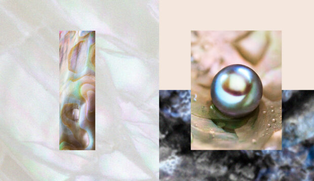 The Symbolism and Meaning of a Pearl, June’s Understated and Elegant Birthstone
