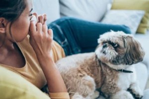 I’ve Had a 'Hypoallergenic' Dog for 5 Years, and Just Found Out I’m Highly Allergic to Him—Here’s How I’m Managing It