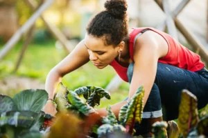 I Swapped My Usual Workouts With Gardening for a Week, and Found New Ways To Work My Muscles in the Yard