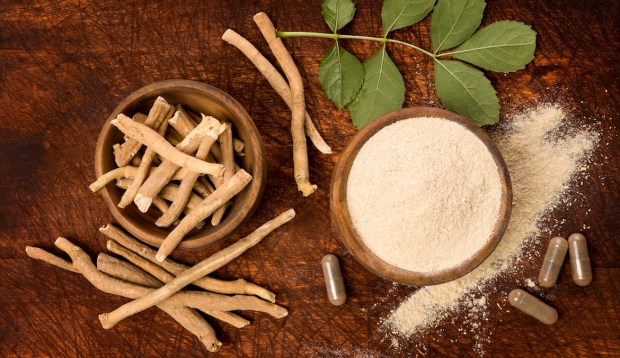 Here's What the Science Actually Says About Using Adaptogens for Stress Relief