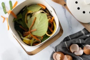 Let's Talk About Scraps: A Beginner’s Guide to Composting