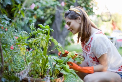 You Can Grow Healthier, Happier Vegetables and Herbs by Companion Planting—Here’s How