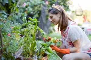 You Can Grow Healthier, Happier Vegetables and Herbs by Companion Planting—Here's How
