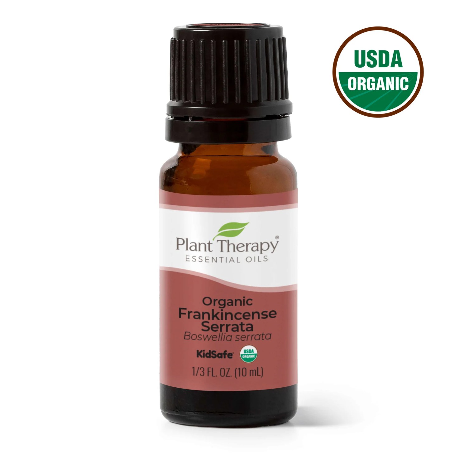 plant therapy frankincense serrata essential oil