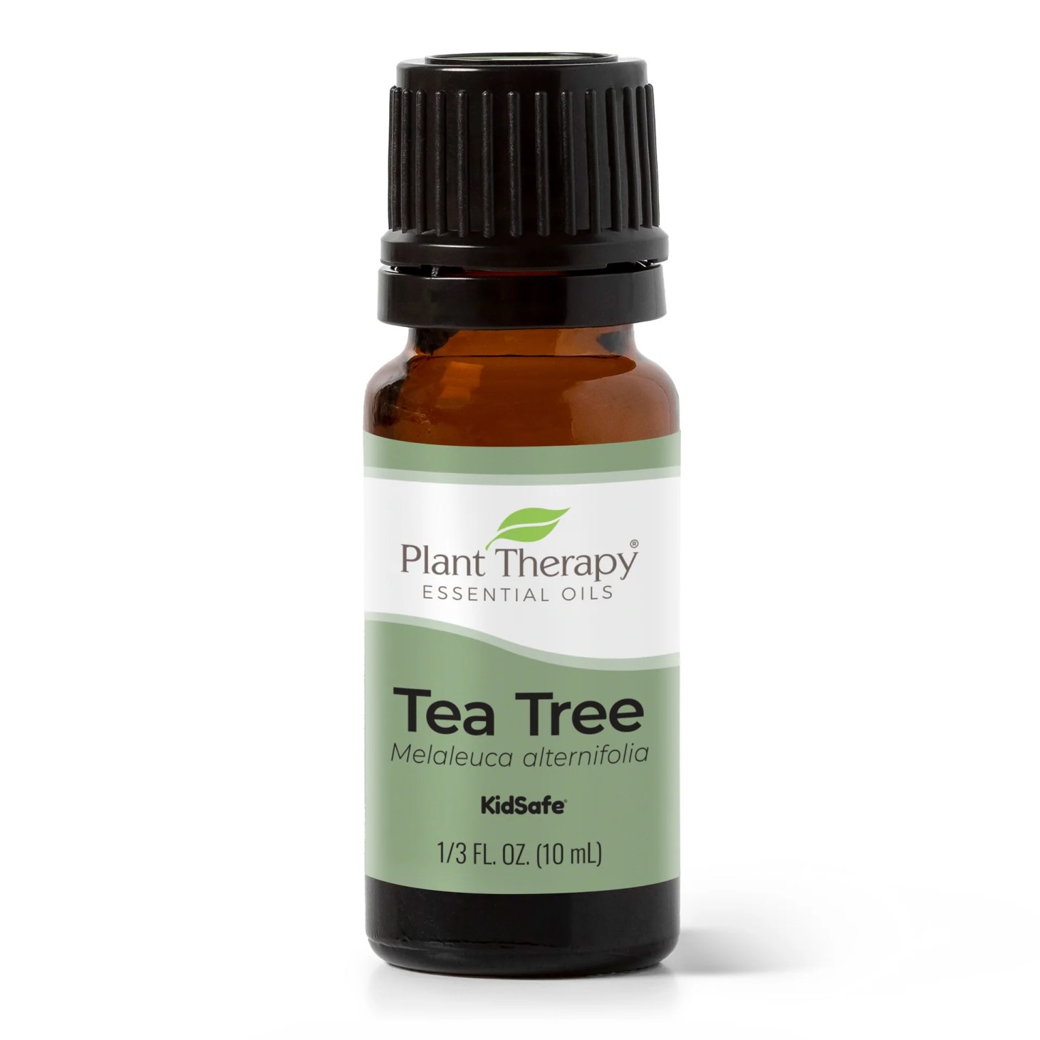 plant therapy tea tree essential oil