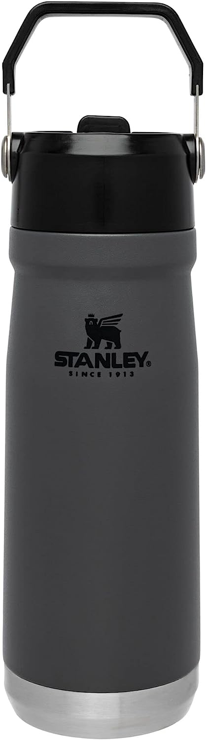 Hardy Stainless-Steel Tumbler 20-Oz. with Handle & Straw - Personalization  Available