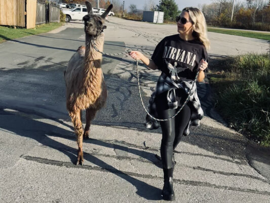 a woman on a llama walk