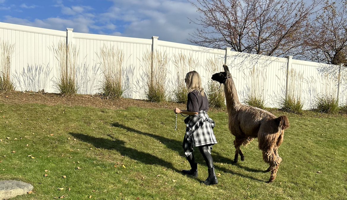 Going on a Llama Walk Was the Stress-Buster I Didn’t Know I Needed