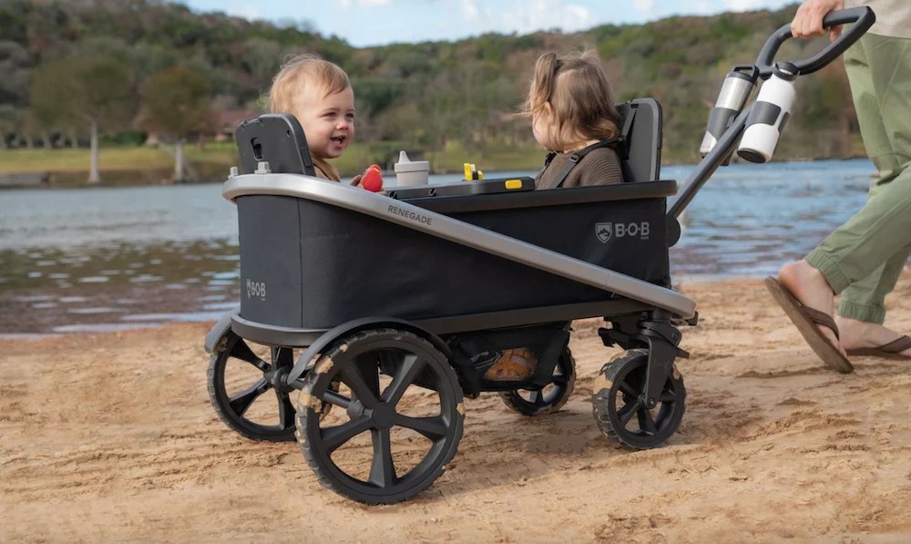 Two kids in a wagon overlooking a lake.