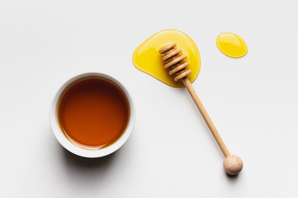 A Short-and-Sweet Answer to Whether Honey Is Vegan, From a Former Bee Researcher