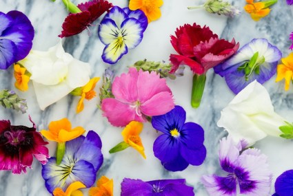 A Beginner’s Guide To Using Florals and Botanicals To Boost Sleep and Fight Inflammation
