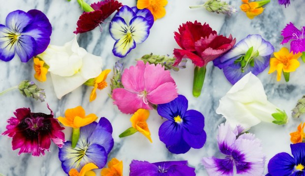 A Beginner's Guide To Using Florals and Botanicals To Boost Sleep and Fight Inflammation