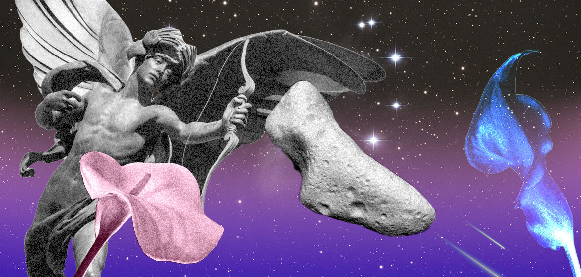 WG Editorial Asteroids in AstrologyInset Eros
