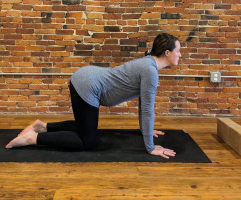 Pregnant person demonstrating cow pose