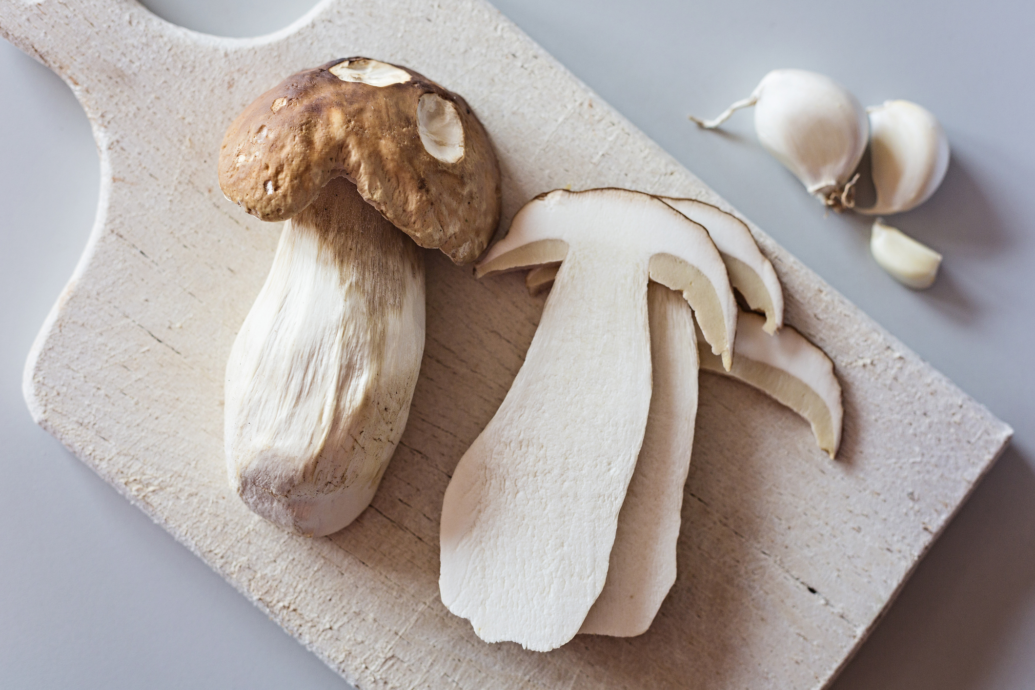 porcini mushrooms