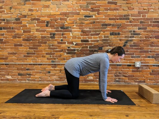Pregnant person practicing tabletop pose yoga